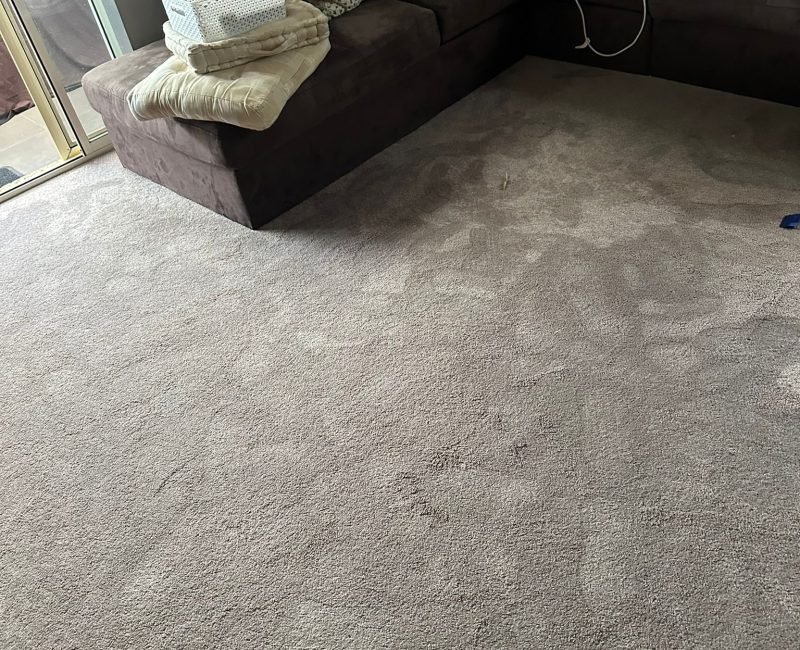 WhatsApp Image 2025-01-17 at 18.57.08 (1)