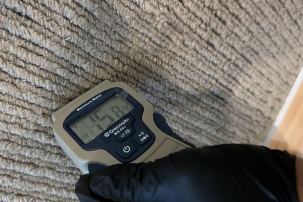 WhatsApp Image 2025-01-17 at 18.58.11 (1) 1